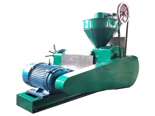supply full automatic peanut screw oil press machine