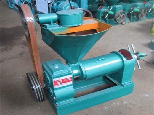 automatic industrial castor seed screw oil press expeller extracting