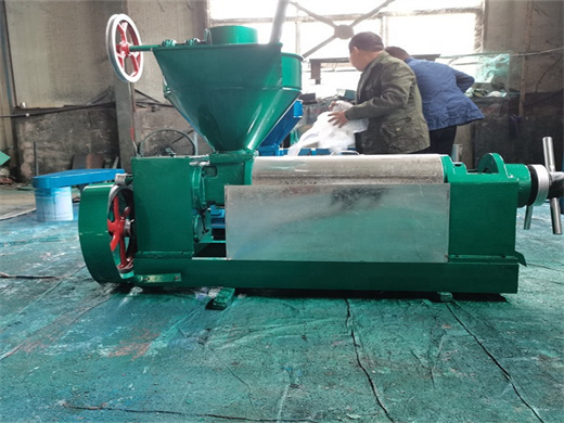sunflower oil processing oil mill plant