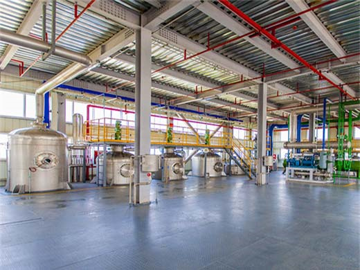food processing production line, food processing