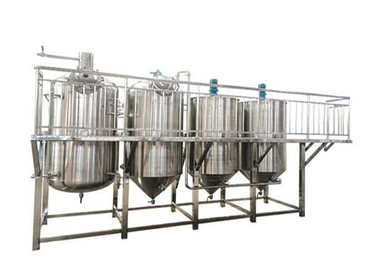 hot sale in africa refined palm oil making machinery