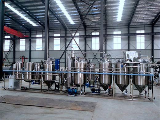 high efficiency castor oil extraction machine price
